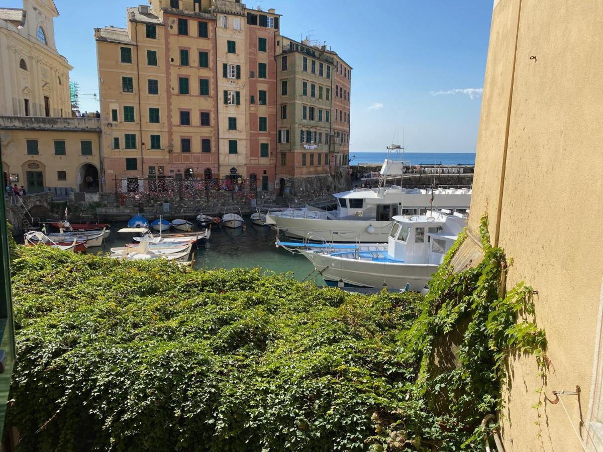 Camogli - "La Casa Di Judi" - Liguria Holidays Bagian luar foto